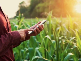 Mato Grosso tem onças, capivaras e também, muita tecnologia