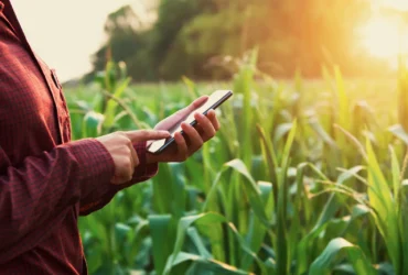 Mato Grosso tem onças, capivaras e também, muita tecnologia