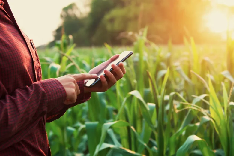 Mato Grosso tem onças, capivaras e também, muita tecnologia