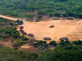 Ministério Público Federal pede retomada da demarcação da Terra Indígena Huuhi em Mato Grosso