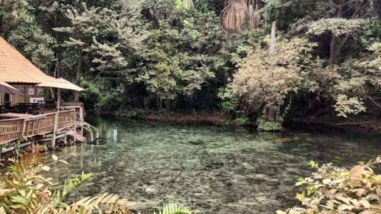 Nova análise da Sema-MT aponta melhora na balneabilidade do Rio Estivado em Nobres