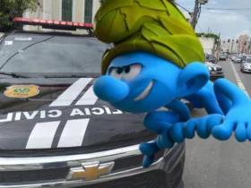 Operação Smurfs