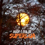 Superlua