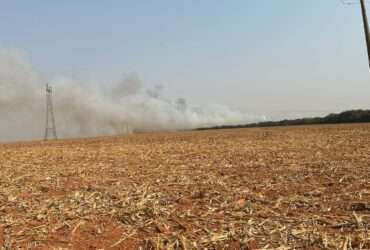 Bombeiros e brigada mista combatem incêndio em palhada de milho e mata em área de preservação permanente em Lucas do Rio Verde