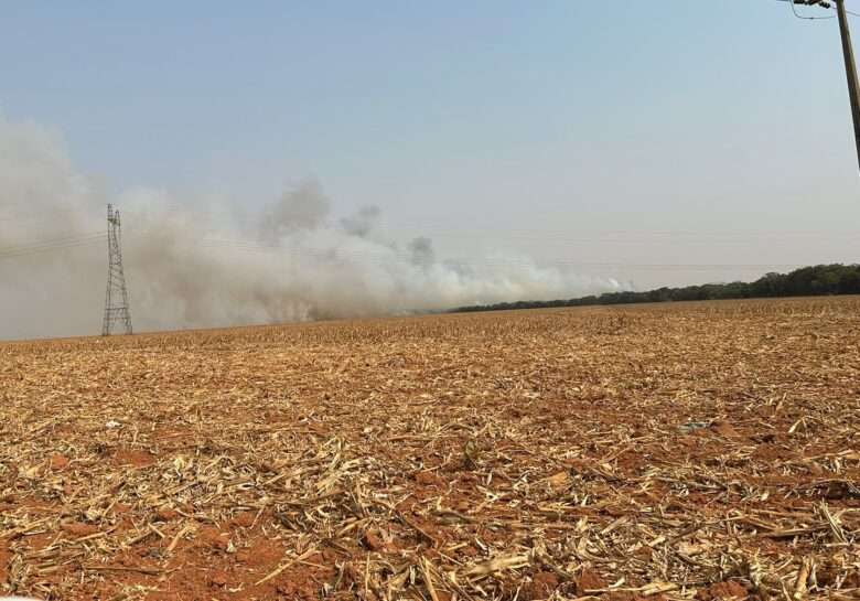 Bombeiros e brigada mista combatem incêndio em palhada de milho e mata em área de preservação permanente em Lucas do Rio Verde