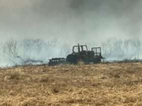 Incêndio florestal mobiliza Corpo de Bombeiros em Lucas do Rio Verde