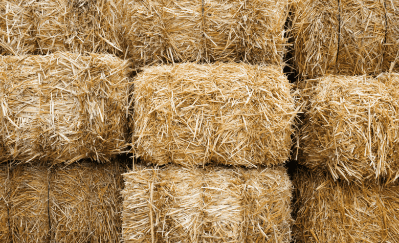 Abertura de mercados no Canadá para exportação de feno e fibra de coco do Brasil