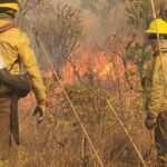 Brasília (DF), 19/09/2024 - Brigadistas do ICMBio tentam conter área queimada durante incêndio no Parque Nacional de Brasília. Foto: ICMBio/Divulgação