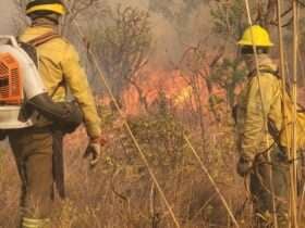 Bombeiros de Mato Grosso combatem 21 incêndios florestais no Estado nesta quarta-feira (16)