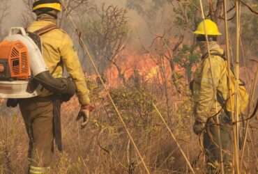 Bombeiros de Mato Grosso combatem 21 incêndios florestais no Estado nesta quarta-feira (16)