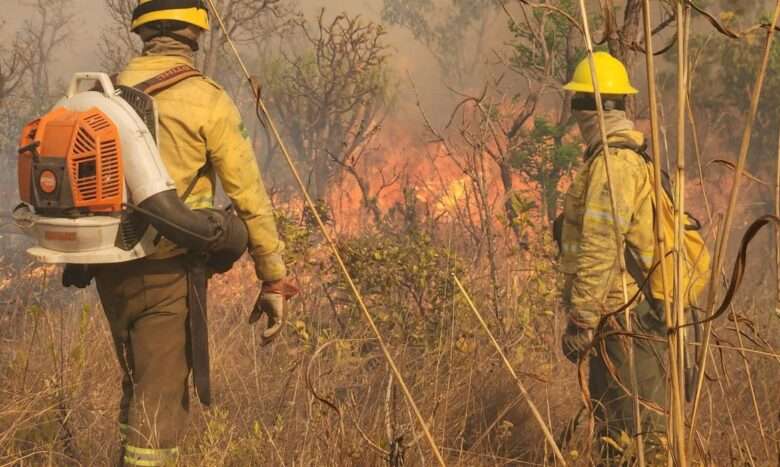 Brasília (DF), 19/09/2024 - Brigadistas do ICMBio tentam conter área queimada durante incêndio no Parque Nacional de Brasília. Foto: ICMBio/Divulgação