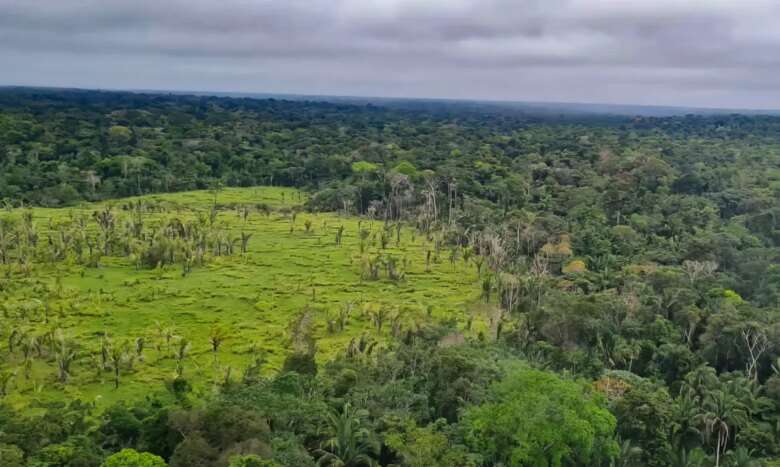 14/06/2023 - Amazonas - A Polícia Federal e o ICMBIO realizam nesta semana a Operação