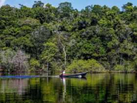 Amazônia: desmatamento em agosto foi o menor em seis anos - Fabio Rodrigues-Pozzebom/Agência Brasil