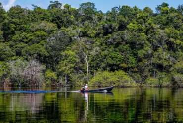 Amazônia: desmatamento em agosto foi o menor em seis anos - Fabio Rodrigues-Pozzebom/Agência Brasil