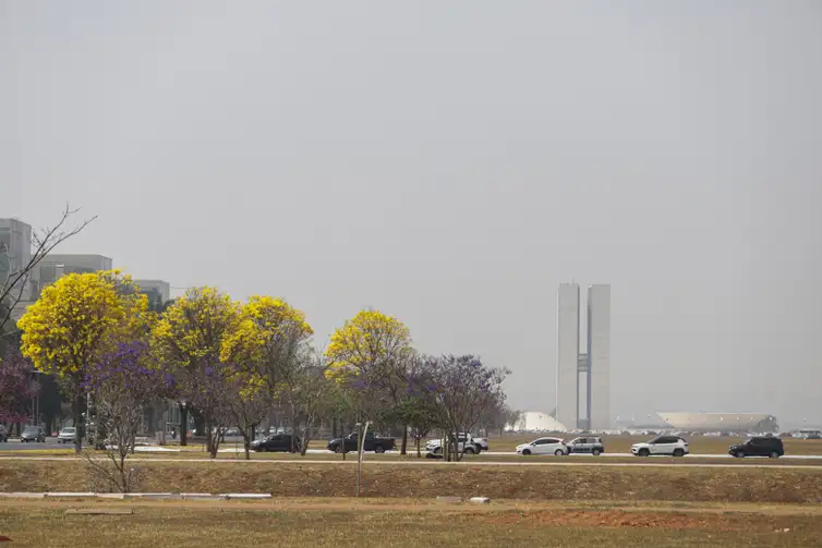 Brasília (DF) 26/08/2024- Brasília amanhece encoberta por fumaça de queimadas. Foto: Joédson Alves/Agência Brasil