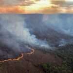 Brasília (DF) 08/09/2024 - Incêndio Chapara dos Veadeiros Foto: CBMGO/Divulgação