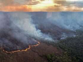 Brasília (DF) 08/09/2024 - Incêndio Chapara dos Veadeiros Foto: CBMGO/Divulgação