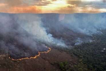 Brasília (DF) 08/09/2024 - Incêndio Chapara dos Veadeiros Foto: CBMGO/Divulgação