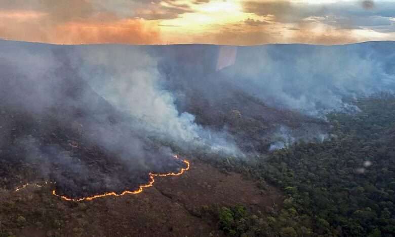 Brasília (DF) 08/09/2024 - Incêndio Chapara dos Veadeiros Foto: CBMGO/Divulgação