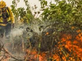 Número de focos em setembro no Pantanal de Mato Grosso quase dobra em relação ao ano passado, revela Inpe