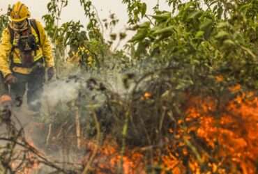 Número de focos em setembro no Pantanal de Mato Grosso quase dobra em relação ao ano passado, revela Inpe