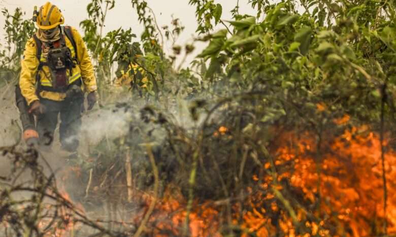 Número de focos em setembro no Pantanal de Mato Grosso quase dobra em relação ao ano passado, revela Inpe