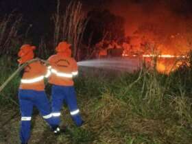 Alvorada do Oeste (RO), 22. 08. 2024 - Força-Tarefa do Corpo de Bombeiros combate incêndios florestais em Alvorada do Oeste em Rondônia. Foto: CBMRO/Divulgação