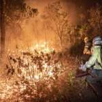 Corpo de Bombeiros combate 23 incêndios florestais em Mato Grosso nesta terça-feira (01)