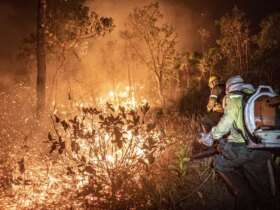 Corpo de Bombeiros combate 23 incêndios florestais em Mato Grosso nesta terça-feira (01)