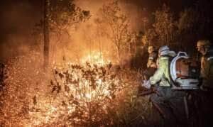 Bombeiros de Mato Grosso combatem 26 incêndios florestais nesta sexta-feira (04)