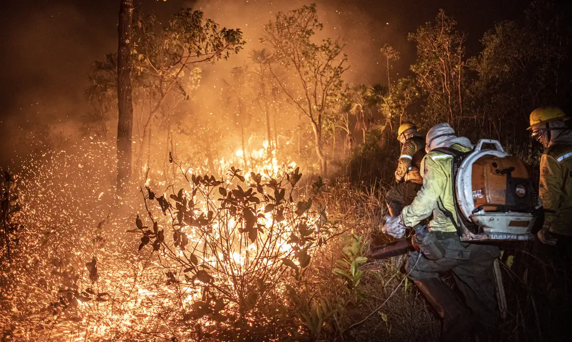 Brasília (DF) 12/09/2024 - Brigadistas do Prevfogo/Ibama e ICMBio combatem incêndios florestais na Terra Indígena Tenharim/Marmelos, no Amazonas Foto: Mayangdi Inzaulgarat/Ibama