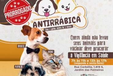 campanha antirrabica