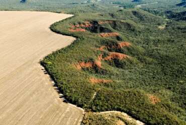 Brasília (DF) 29/02/2024 - Cerrado: cresce o desmatamento, aumenta o risco de colapso hídrico Foto: Adriano Gambarini/WWF Brasil/Divulgação