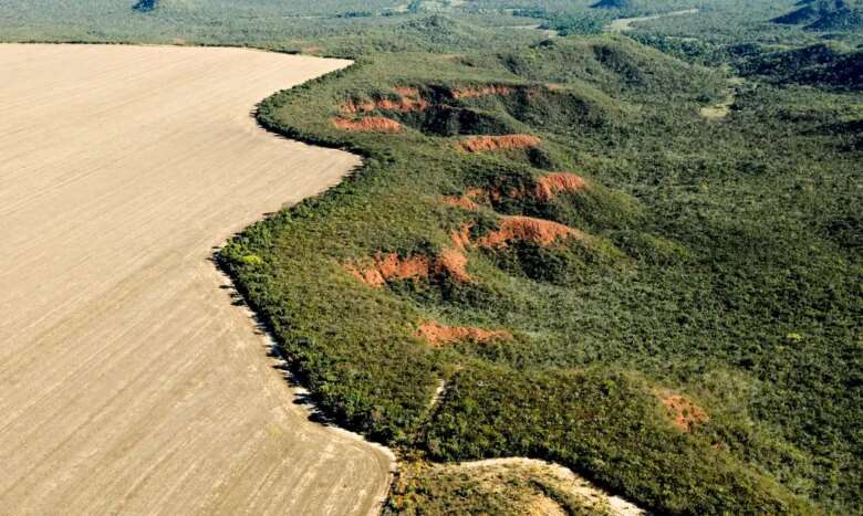 Brasília (DF) 29/02/2024 - Cerrado: cresce o desmatamento, aumenta o risco de colapso hídrico Foto: Adriano Gambarini/WWF Brasil/Divulgação