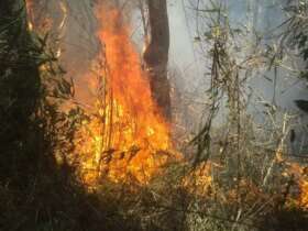 Incêndio no Parque Nacional da Serra dos Órgãos (Divulgação/Parnaso) Por: Divulgação/Parnaso/Todos Direitos Reservados