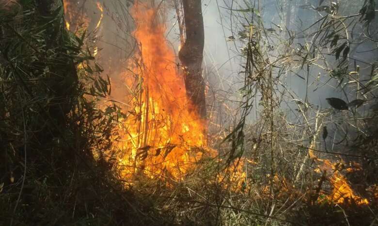 Incêndio no Parque Nacional da Serra dos Órgãos (Divulgação/Parnaso) Por: Divulgação/Parnaso/Todos Direitos Reservados