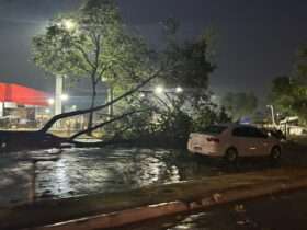 Forte chuva com rajadas de vento causa estragos em Alta Floresta