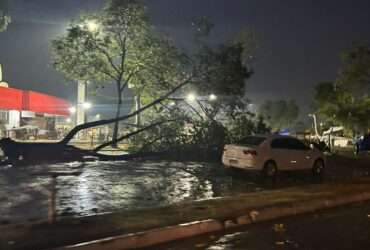 Forte chuva com rajadas de vento causa estragos em Alta Floresta