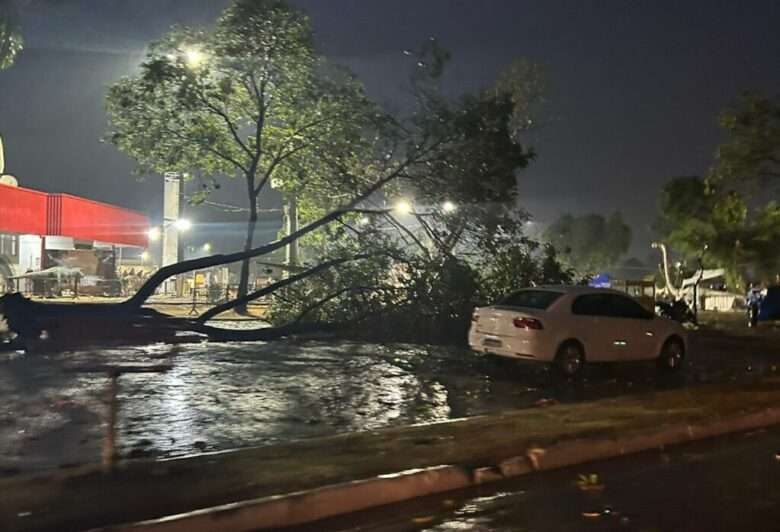 Forte chuva com rajadas de vento causa estragos em Alta Floresta