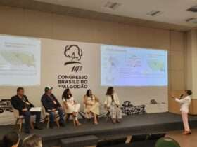 congresso algodao embrapa