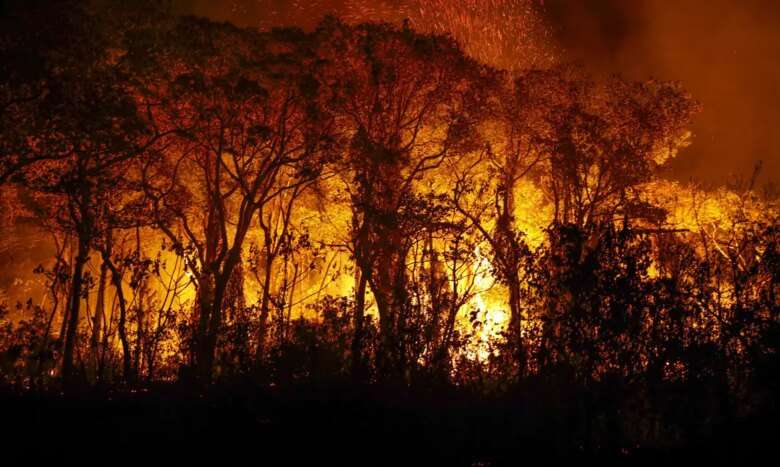 Porto Jofre (MT) 16/11/2023 – Árvores sendo consumidas pelo incêndio florestal que atige o Pantanal Foto: Joédson Alves/Agência Brasil