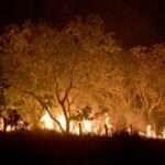 20-02-2024 Queimadas e incêndios em Amajari – Roraima - Foto Jader Souza/AL Roraima