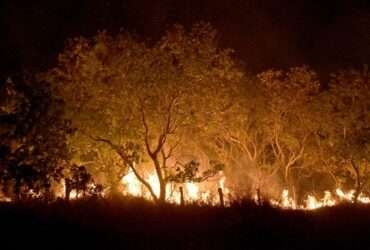 20-02-2024 Queimadas e incêndios em Amajari – Roraima - Foto Jader Souza/AL Roraima