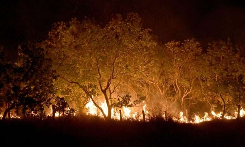 20-02-2024 Queimadas e incêndios em Amajari – Roraima - Foto Jader Souza/AL Roraima