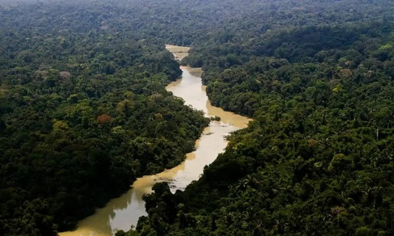 dia da amazonia familias criam modelo de negocio com restauracao capa 2024 09 05 2024 09 05 1423286756