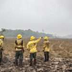 Brasília (DF) 12/09/2024 - Brigadistas do Prevfogo/Ibama e ICMBio combatem incêndios florestais na Terra Indígena Tenharim/Marmelos, no Amazonas Foto: Mayangdi Inzaulgarat/Ibama