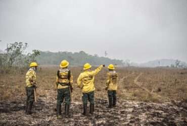 Brasília (DF) 12/09/2024 - Brigadistas do Prevfogo/Ibama e ICMBio combatem incêndios florestais na Terra Indígena Tenharim/Marmelos, no Amazonas Foto: Mayangdi Inzaulgarat/Ibama