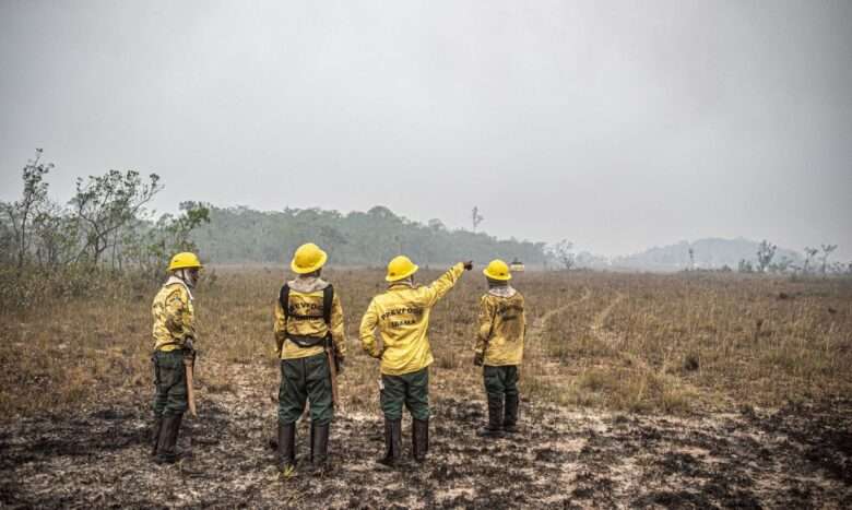 Brasília (DF) 12/09/2024 - Brigadistas do Prevfogo/Ibama e ICMBio combatem incêndios florestais na Terra Indígena Tenharim/Marmelos, no Amazonas Foto: Mayangdi Inzaulgarat/Ibama