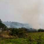 São Paulo (SP) 24/08/2024 - Foco de incêndio próximo a rodovia presidente Castelo Branco, o governo de São Paulo cria gabinete de crise para combate a incêndios Estradas são interditadas e 30 municípios estão em alerta máximo Foto: Paulo Pinto/Agência Brasil