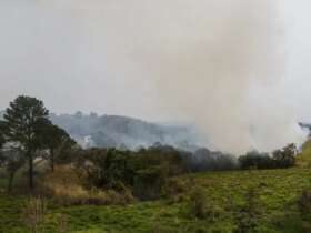 São Paulo (SP) 24/08/2024 - Foco de incêndio próximo a rodovia presidente Castelo Branco, o governo de São Paulo cria gabinete de crise para combate a incêndios Estradas são interditadas e 30 municípios estão em alerta máximo Foto: Paulo Pinto/Agência Brasil